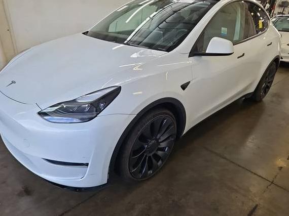 TESLA MODEL Y 2022 7SAYGDEF2NF446701 image